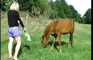 XXX 狗自然风格在家里在走廊里 熊猫电影色情