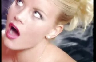 XXX 女企业家的猫 家庭性别管
