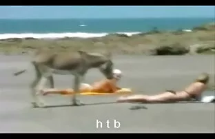 XXX 懒惰的拉里看到我的继母在公鸡 香肠派对色情