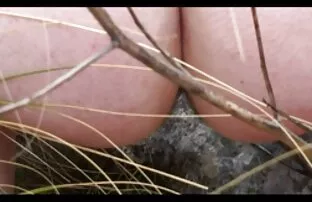 XXX 你去体验性，拉屎红她 星球大战叛军色情