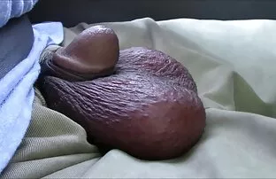 XXX 小棕色的狗屎在一个地方，然后饼干 阿姨性爱电影